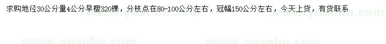 求購30量4公分早櫻