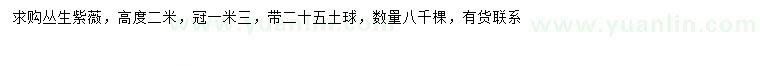 求購冠幅1.3米叢生紫薇