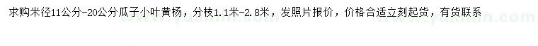 求購米徑11-20公分瓜子黃楊