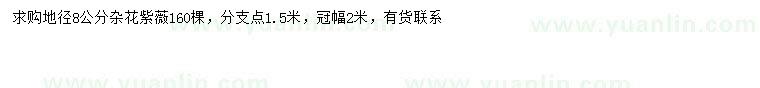 求購地徑8公分雜花紫薇