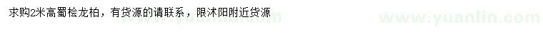求購高2米蜀檜、龍柏