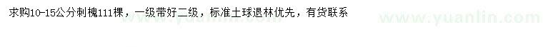 求購(gòu)10-15公分刺槐