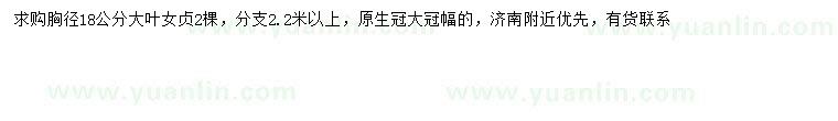 求購(gòu)胸徑18公分大葉女貞