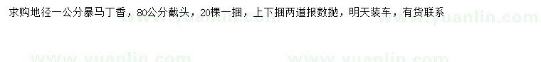 求購地徑1公分暴馬丁香