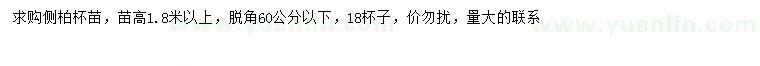 求購高1.8米以上側(cè)柏
