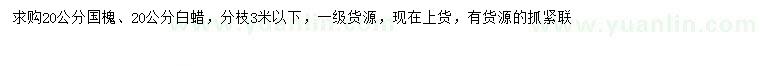 求購(gòu)20公分國(guó)槐、白蠟
