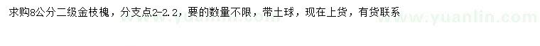 求購(gòu)8公分金枝槐