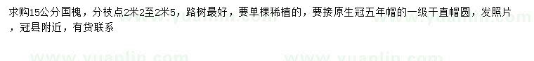 求購15公分國槐