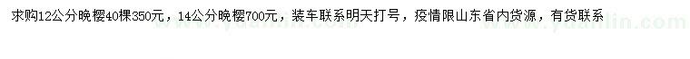求購12、14公分晚櫻