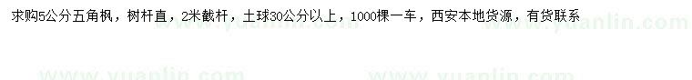 求購5公分五角楓