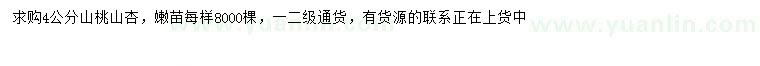求購(gòu)4公分山桃、山杏