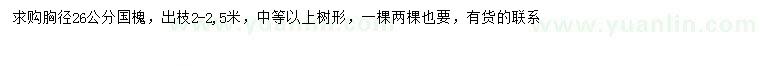 求購胸徑26公分國槐