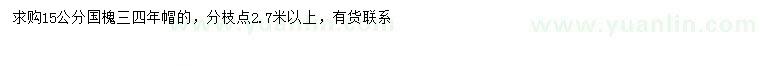 求購15公分國槐