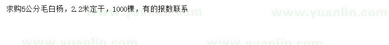 求購5公分毛白楊