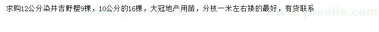 求購10、12公分染井吉野櫻