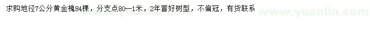 求購地徑7公分黃金槐