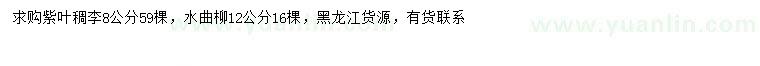 求購8公分紫葉稠李、12公分水曲柳