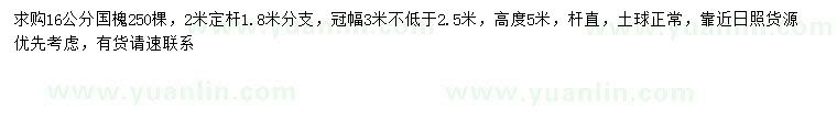求購16公分國槐