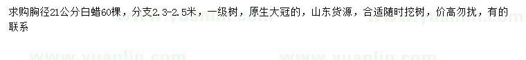 求購胸徑21公分白蠟