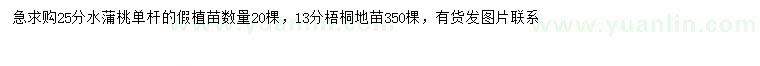 求購13公分梧桐、25公分水蒲桃