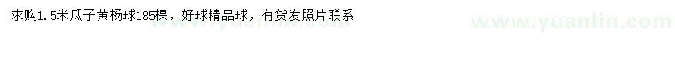 求購1.5米瓜子黃楊球