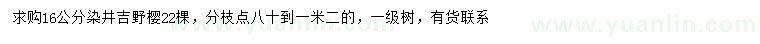 求購16公分染井吉野櫻