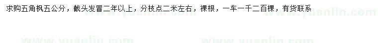 求購5公分五角楓