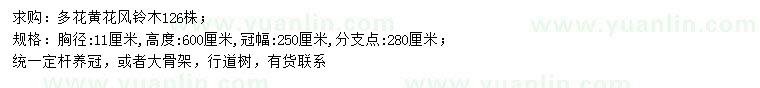 求購胸徑11公分多花黃花風(fēng)鈴木