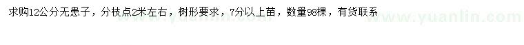 求購(gòu)12公分無(wú)患子