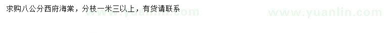 求購8公分西府海棠