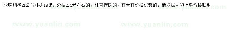 求購胸徑21公分樸樹