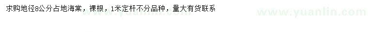 求購(gòu)地徑8公分海棠