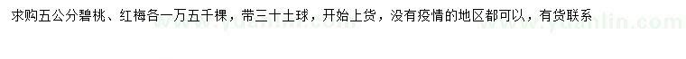 求購5公分碧桃、紅梅