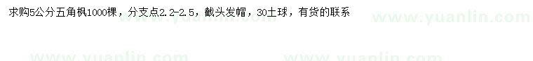 求購5公分五角楓