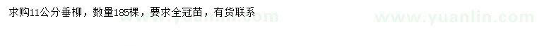 求購11公分垂柳