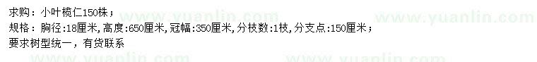 求購胸徑18公分小葉欖仁