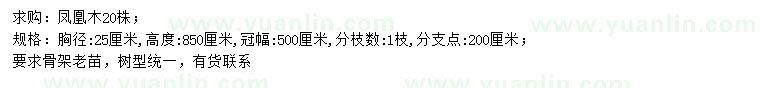 求購胸徑25公分鳳凰木