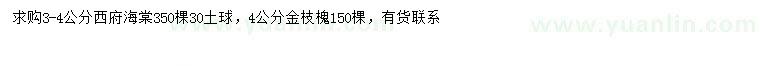 求購3-4公分西府海棠、4公分金枝槐