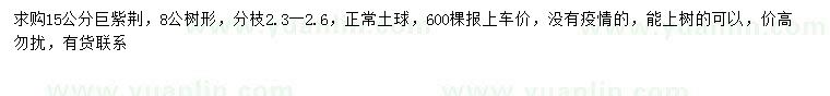 求購15公分巨紫荊
