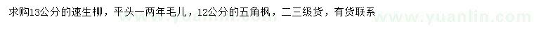 求購12公分五角楓、13公分速生柳