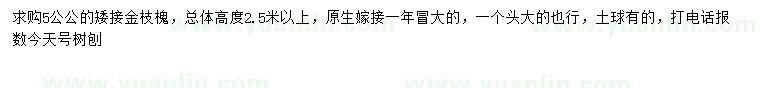 求購5公公金枝槐