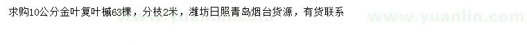 求購10公分金葉復(fù)葉槭