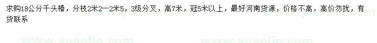 求購18公分千頭椿