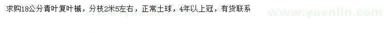 求購18公分青葉復(fù)葉槭