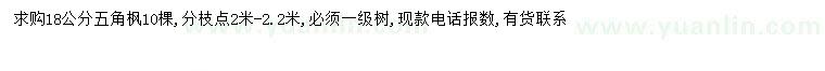 求購(gòu)18公分五角楓