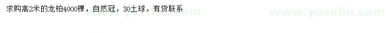 求購高2米龍柏