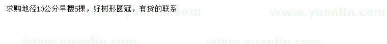 求購地徑10公分早櫻