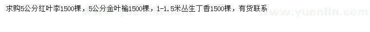 求購紅葉李、金葉榆、叢生丁香