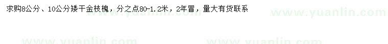 求購8、10公分金枝槐