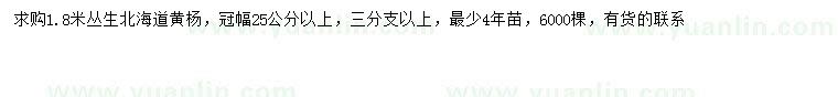 求購(gòu)1.8米叢生北海道黃楊